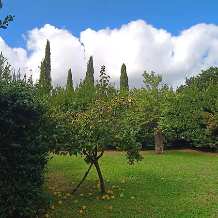 Donna Anna Ubytování v soukromí